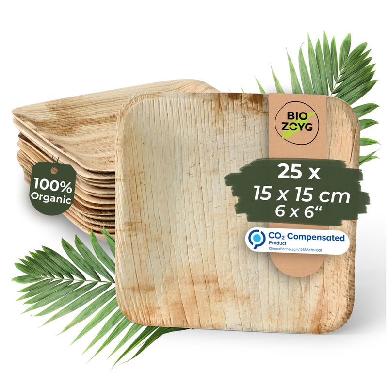 BIOZOYG Disposable Plates 25 Pack 6 Inch Square Palm Leaf Plates Tableware Compostable Disposable HighQuality Alternative to Bamboo Plates Party Tableware